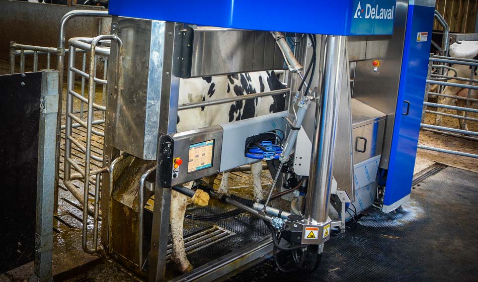 robot traite delaval - Illustration Plus de productivité en traite robotisée