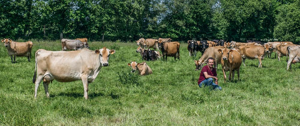 td_lautout-lait-economie - Illustration Lait : « Le résultat économique passe par la maîtrise des charges opérationnelles »