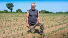 Yves Loutrage, producteur de légumes bio à Penvénan.