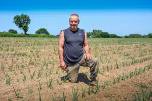 Yves Loutrage, producteur de légumes bio à Penvénan.