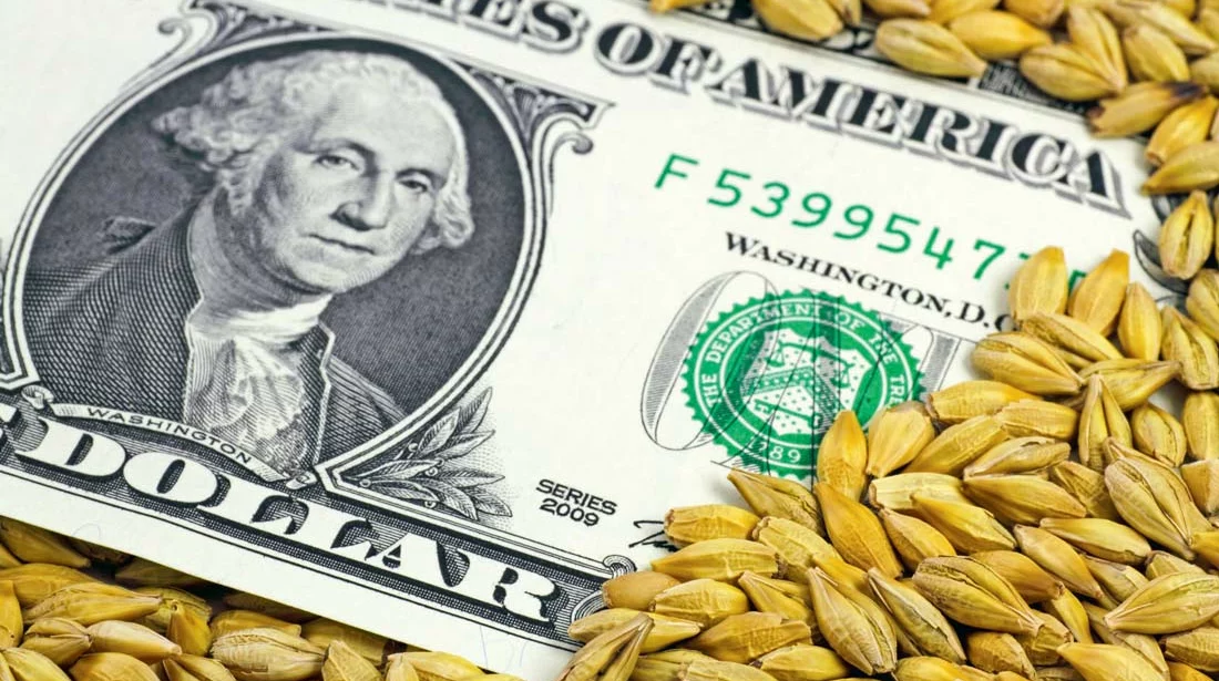 marché des céréales - Illustration Grosse déprime pour le prix du blé tendre