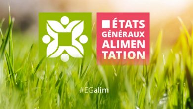 Photo of Projet de loi Egalim : “Faites que cette loi serve à quelque chose”