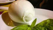 bufala-buffalo-mozzarella-cheese