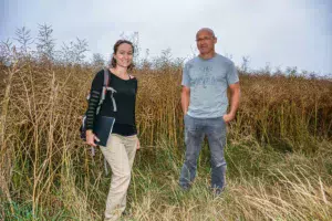 Maude Retailleau, animatrice technique au Civam 56 et Jean-Yves Peres, agriculteur, devant une parcelle de colza en cultures associées.