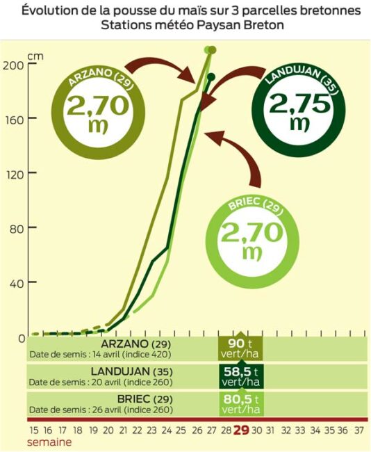 evolution-pousse-mais-21-juillet