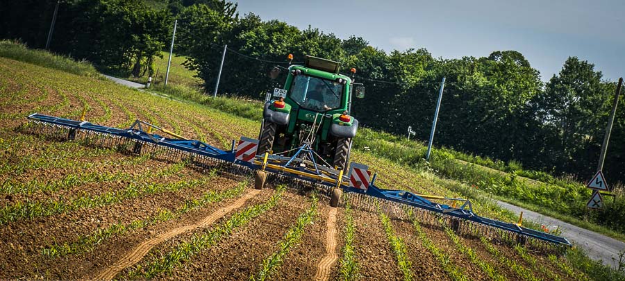 Le producteur utilise cette herse étrille haut de gamme de 12 m qui gratte le sol dans l’inter-rang jusqu’au stade 5 ou 6 feuilles. - Illustration Faire l’apprentissage des grandes cultures en bio