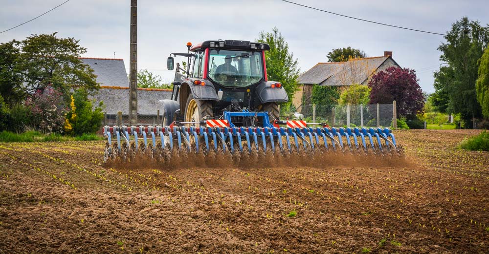 Sur maïs, le producteur passe la houe rotative au stade filament blanc des adventices, puis un peu plus tard avant le stade 3-4 feuilles du maïs. - Illustration Moins 45% d’herbicides grâce à la houe rotative