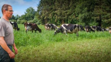 Photo of Faire durer le pâturage le plus longtemps possible