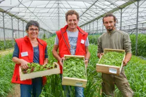 Valérie et Jean-François Boulo sous la serre de 6 000 m2. Les jeunes pousses y sont semées de septembre à avril. En été, la serre est divisée en cinq zones. L'une d'entre elles est implantée en melon, les quatre autres en sorgho (engrais vert). Le melon revient tous les cinq ans sur la même zone.