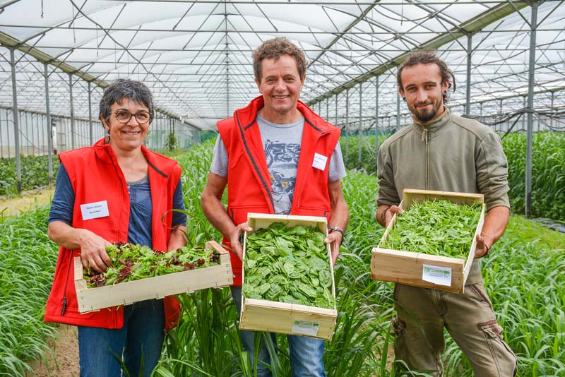 Valérie et Jean-François Boulo sous la serre de 6 000 m2. Les jeunes pousses y sont semées de septembre à avril. En été, la serre est divisée en cinq zones. L'une d'entre elles est implantée en melon, les quatre autres en sorgho (engrais vert). Le melon revient tous les cinq ans sur la même zone. - Illustration Maraîchage : Jean-François Boulo mise sur les jeunes pousses