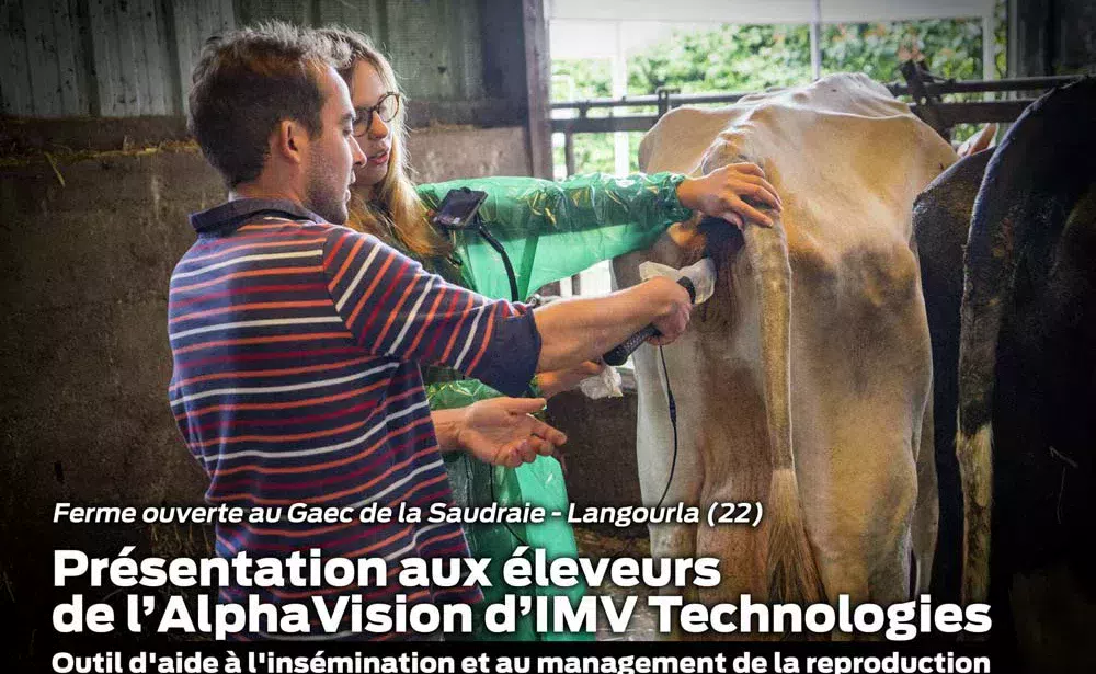 imv technologies alpha vision - Illustration [VIDEO] Inséminez et contrôlez grâce à l’AlphaVision d’Imv Technologies