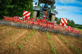 8 rangs sont désherbés par passage, le tracteur évolue entre 6 et 8 km/h.