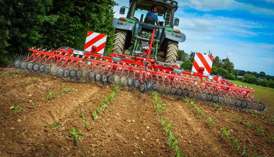 8 rangs sont désherbés par passage, le tracteur évolue entre 6 et 8 km/h. - Illustration La herse étrille rotative entre dans le rang