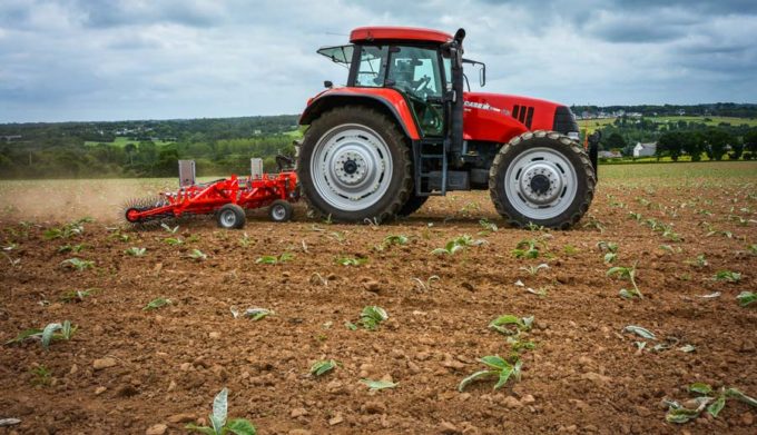 La herse étrille rotative fonctionne très bien sur artichauts. Même si quelques feuilles peuvent être abîmées par le passage de l’outil, les plants repartent.