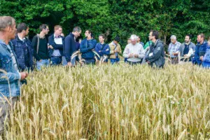 La ferme de Karim Elouali à Noyal-sur-Vilaine (146 ha en grandes cultures bio) a été visitée lors de la journée interprofessionnelle.