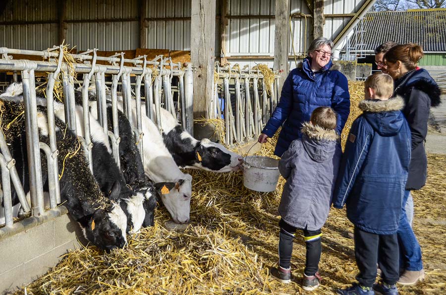 visite-ferme - Illustration Le weekend à la ferme prend du galon !