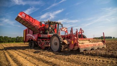 Photo of Grimme présente ses innovations en pomme de terre