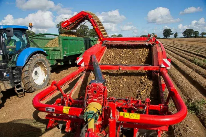 L'arrachage en 3 rangs au lieu de 2 augmente la performance et réduit les passages.