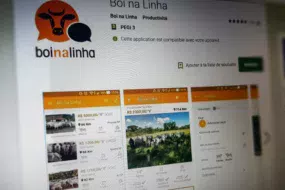 Boi-na-linha