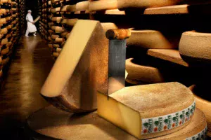 Cette cave d’affinage contient 100 000 meules de comté.