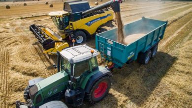 Photo of Blé tendre : le ministère de l’Agriculture estime la récolte à 36,8Mt