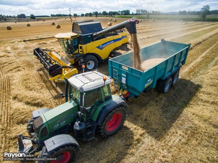 Moisson : la bonne qualité du blé se confirme – Journal Paysan Breton