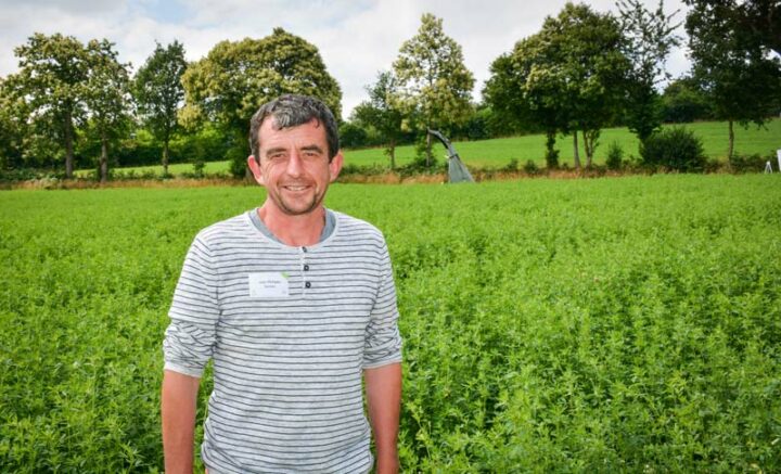 Jean-Philippe Guines, devant une parcelle de luzerne et de trèfle, assurant l’apport de fourrage frais dans la ration de ses 95 vaches laitières. 