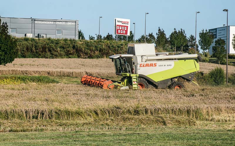 Mardi 22 août, à Broons, les Jeunes Agriculteurs ont moissonné les parcelles qu’ils avaient implantées en blé en novembre dernier. - Illustration “Nous sèmerons jusqu’à ce que les mentalités changent”