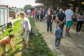 apres-midi-a-la-ferme