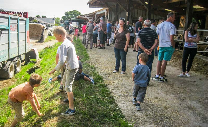 apres-midi-a-la-ferme - Illustration Un vendredi après-midi à la ferme