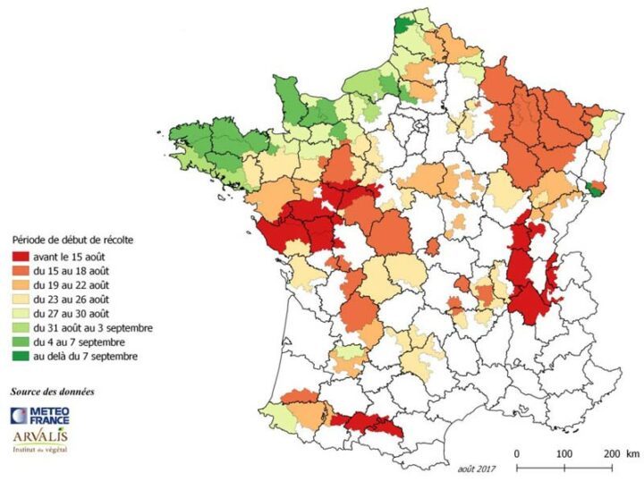 Pour chaque « région », les experts d’ARVALIS ont défini le groupe de précocité dominant et la date médiane des semis en 2017. 