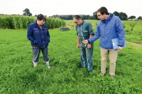 Tour d’herbe avec l’animateur du Cedapa : Isabelle et André Ganne sont satisfaits de leur parcelle avec une bonne présence de trèfle.