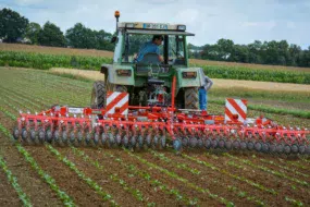 La roto-étrilleuse a prouvé lors de la démonstration sur haricots qu’elle peut avoir sa place pour désherber mécaniquement entre un passage de herse étrille et un binage.