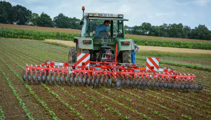 La roto-étrilleuse a prouvé lors de la démonstration sur haricots qu’elle peut avoir sa place pour désherber mécaniquement entre un passage de herse étrille et un binage.