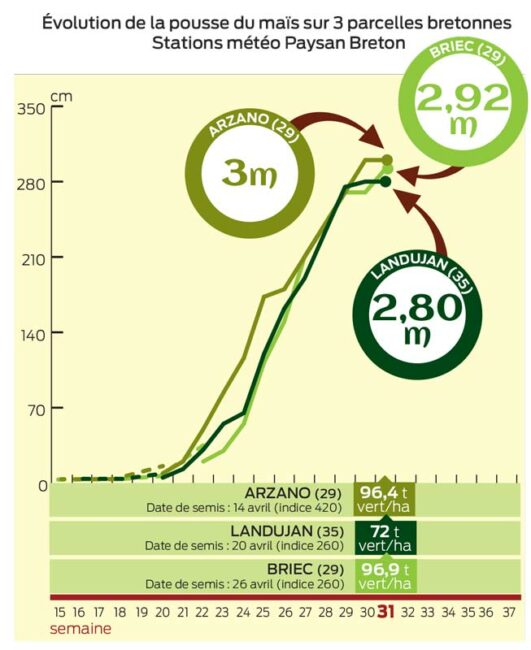 evolution-pousse-mais-aout