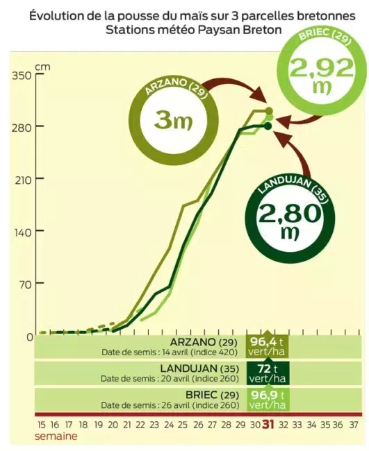 evolution-pousse-mais-aout