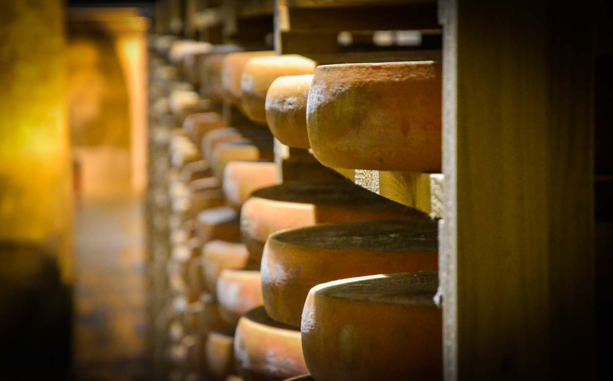 lait-fromage-comte-cave-affinage - Illustration A la découverte de l’AOC Comté, filière à forte valeur ajoutée
