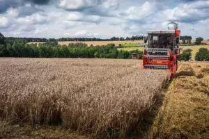 recolte-moisson-essais-bles-cereales