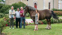 Serge Le Chapelain, Pascal Cousin et Patrice Ecot accompagne l’étalon Donald dans les jardins du Haras national de Lamballe.