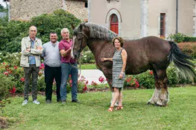 Serge Le Chapelain, Pascal Cousin et Patrice Ecot accompagne l’étalon Donald dans les jardins du Haras national de Lamballe.