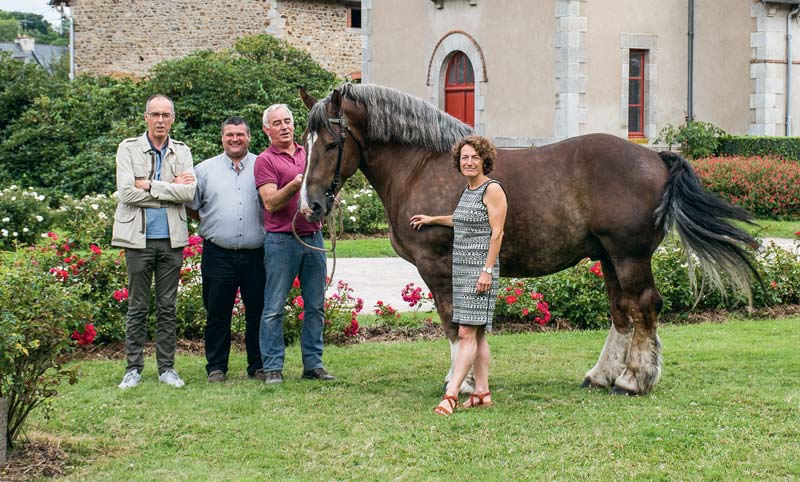 Serge Le Chapelain, Pascal Cousin et Patrice Ecot accompagne l’étalon Donald dans les jardins du Haras national de Lamballe. - Illustration Samedi, le Cheval breton s’installe au Haras de Lamballe