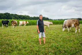 Philippe Brière parmi ses génisses croisées Prim’Holstein et Simmental.