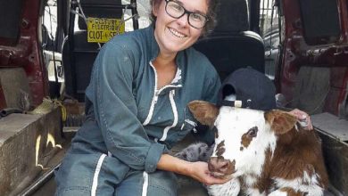 Photo of Le comice de Saint-Vran fait honneur aux femmes