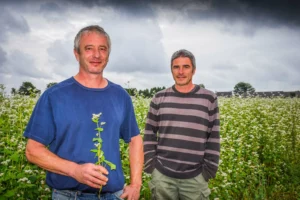 Nicolas et Stéphane Postic, avec une centaine d’hectares de blé noir, sont parmi les premiers producteurs en Bretagne.