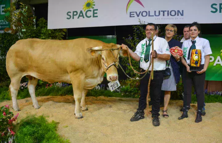 Islande (EARL Robin Picard-56), Meilleur animal du concours Blonde d’Aquitaine.