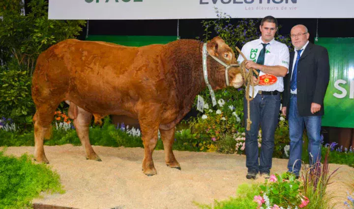 Ludwig a obtenu les 1ers prix « jeunes mâles » et « mâles qualifiés en station ».