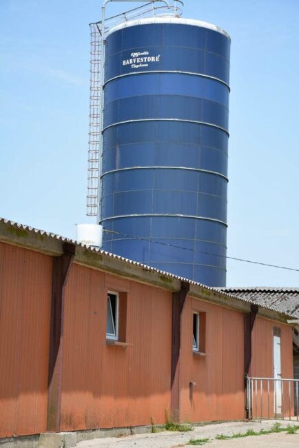 Les 180 hectares de culture alimentent une fabrique simplifiée. Le maïs est stocké en silo tour ; les céréales en cellules. Ces matières premières sont broyées et dirigées, en fonction de la ration formulée, vers la machine à soupe pour une distribution dans les différentes salles, en mélange avec un complémentaire. Tous les aliments sont en soupe à l'exception des aliments en post-sevrage. Une soixantaine d'hectares de maïs et une vingtaine de céréales sont achetées dans le voisinage pour répondre aux besoins de l'élevage. Les cultures sont conduites en technique simplifiée (pas de labour depuis une quinzaine d'années. Les échantillons analysés démontrent qu'il n'y a pas plus de mycotoxines que dans les moyennes. « Je ne cumule pas tous les risques », rassure l'éleveur. « Je choisis les variétés les moins sensibles et j'applique trois fongicides ».
