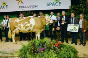 Hawaï était « intouchable » lors de ce concours, selon Guillaume Crépet, juge.