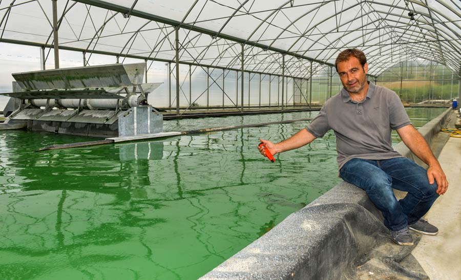  - Illustration Spiruline de Brocéliande : Diversification réussie dans la micro-algue