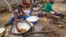 Préparation de la farine de manioc.